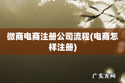 电商怎样注册 微商电商注册公司流程