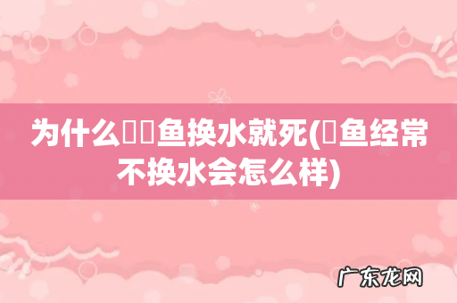 魟鱼经常不换水会怎么样 为什么鳑鲏鱼换水就死