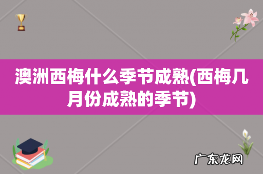 西梅几月份成熟的季节 澳洲西梅什么季节成熟