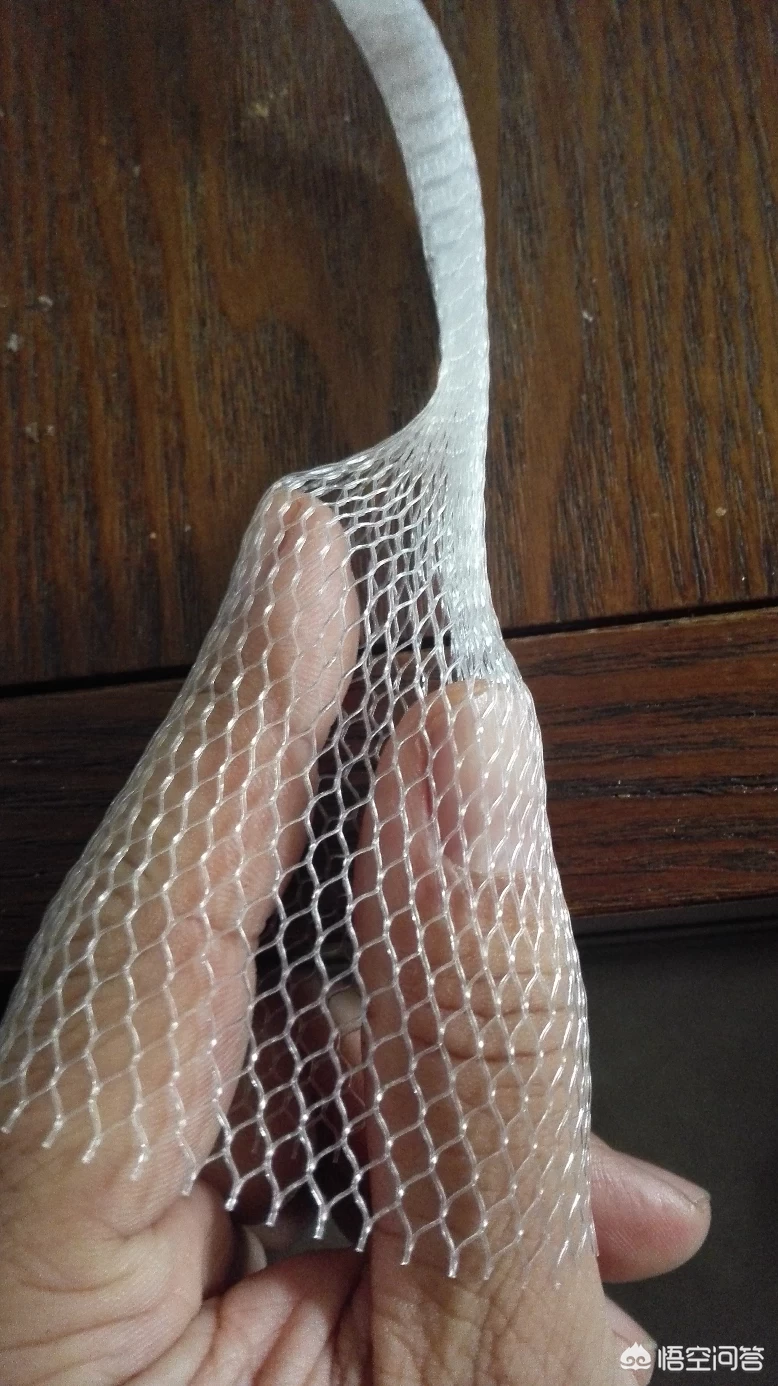 情人节有些花店里卖的所谓的"玫瑰"是什么品种的月季?怎么分辨真假“玫瑰”?