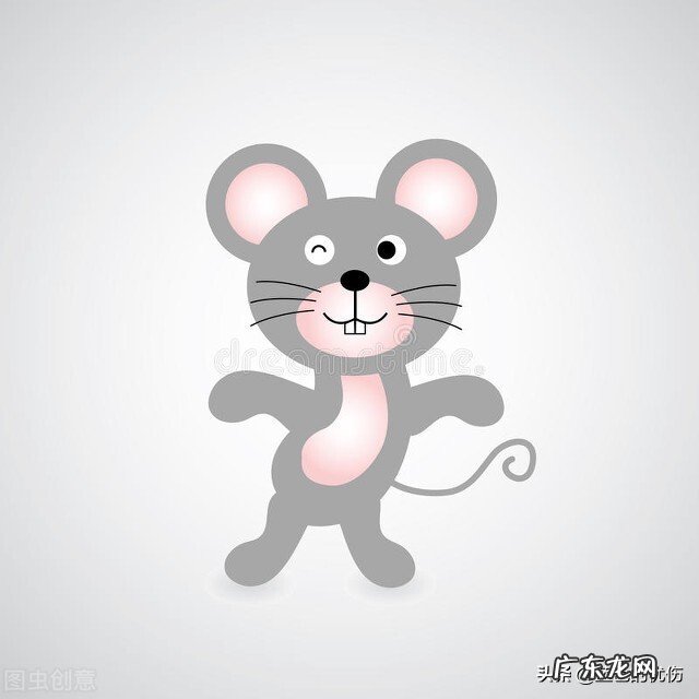 生肖鼠最怕的是什么?最不怕的是什么?