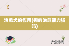 狗的治愈能力强吗 治愈犬的作用