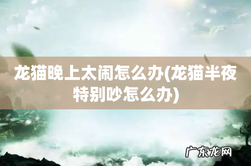 龙猫半夜特别吵怎么办 龙猫晚上太闹怎么办