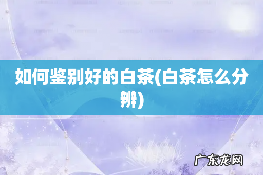 白茶怎么分辨 如何鉴别好的白茶