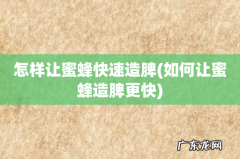 如何让蜜蜂造脾更快 怎样让蜜蜂快速造脾