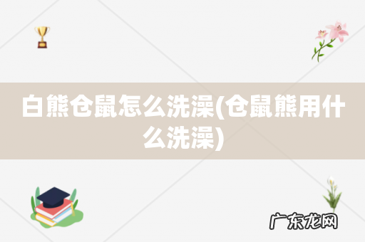 仓鼠熊用什么洗澡 白熊仓鼠怎么洗澡