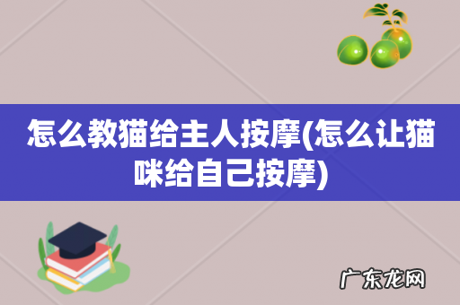 怎么让猫咪给自己按摩 怎么教猫给主人按摩