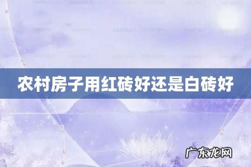 农村房子用红砖好还是白砖好