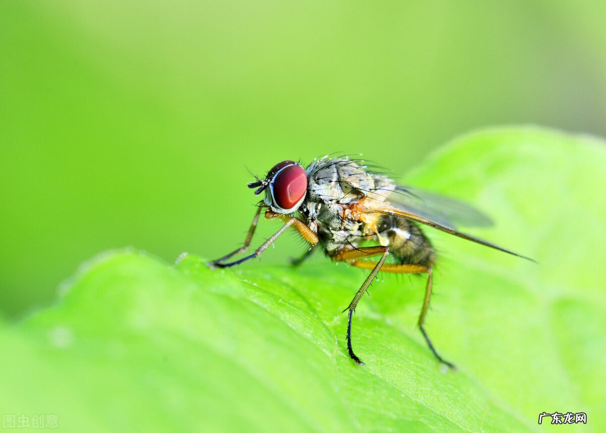 心理素质差,一点小事就能慌慌张张的,怎么办?