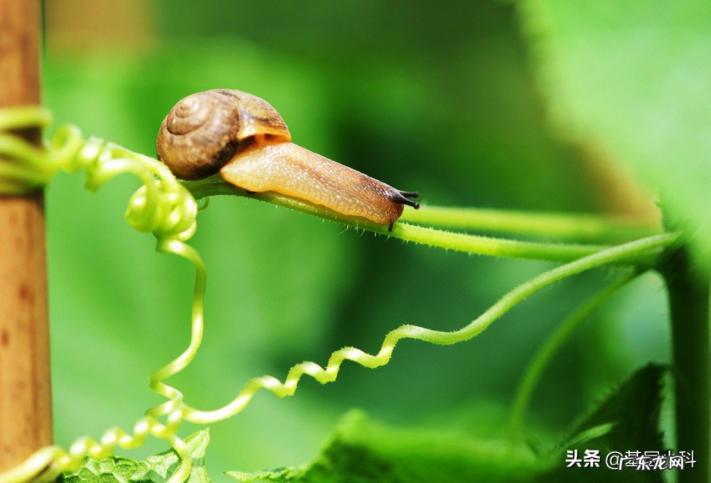 心理素质差，一点小事就能慌慌张张的，怎么办？