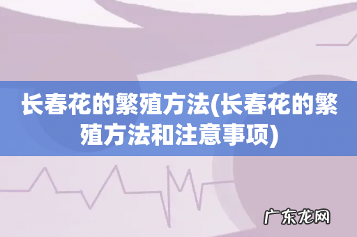 长春花的繁殖方法和注意事项 长春花的繁殖方法