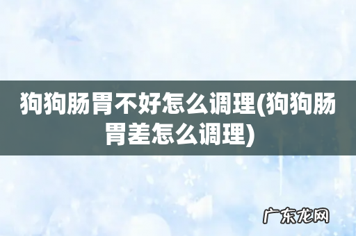 狗狗肠胃差怎么调理 狗狗肠胃不好怎么调理