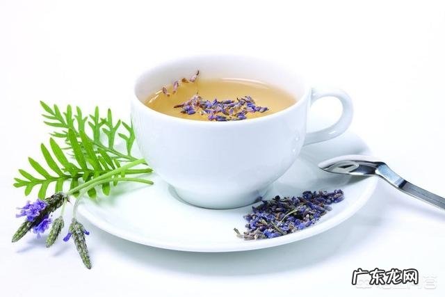 一般喝什么茶能清热解毒？