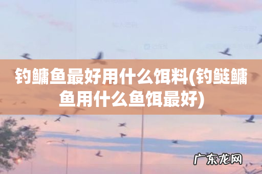 钓鲢鳙鱼用什么鱼饵最好 钓鳙鱼最好用什么饵料