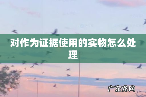 对作为证据使用的实物怎么处理
