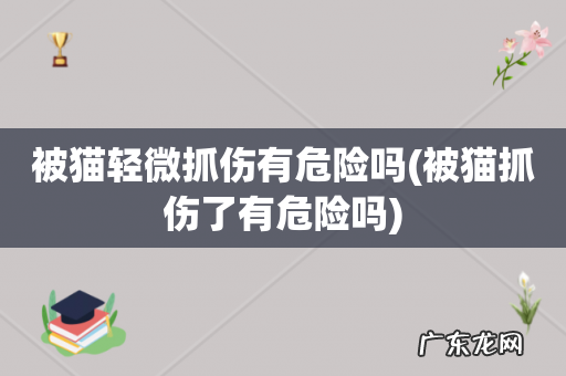 被猫抓伤了有危险吗 被猫轻微抓伤有危险吗