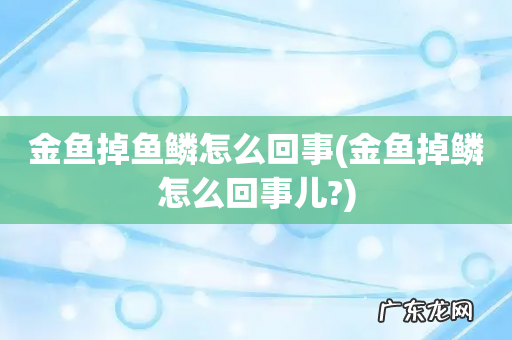 金鱼掉鳞怎么回事儿? 金鱼掉鱼鳞怎么回事
