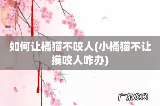 小橘猫不让摸咬人咋办 如何让橘猫不咬人