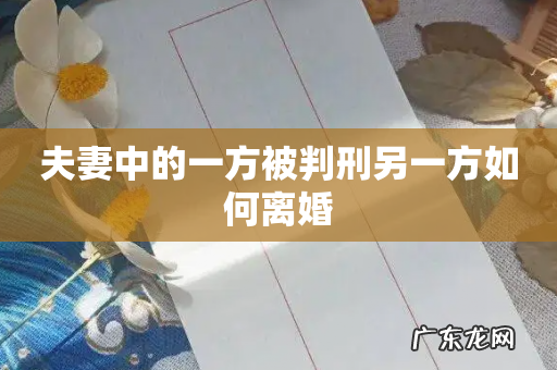 夫妻中的一方被判刑另一方如何离婚