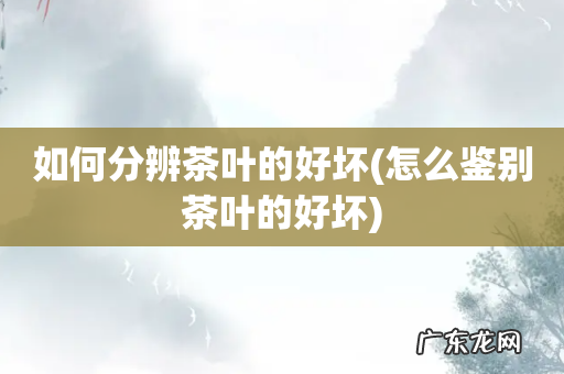 怎么鉴别茶叶的好坏 如何分辨茶叶的好坏