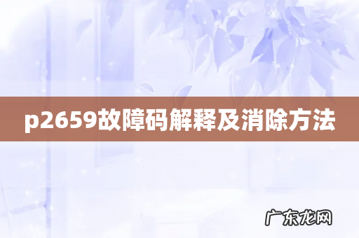 p2659故障码解释及消除方法