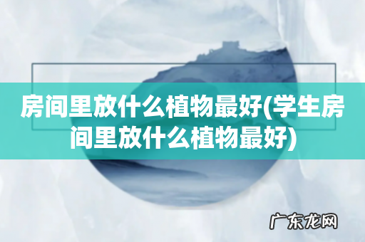 学生房间里放什么植物最好 房间里放什么植物最好