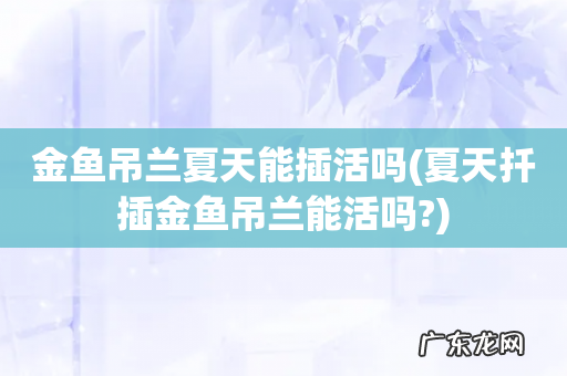 夏天扦插金鱼吊兰能活吗? 金鱼吊兰夏天能插活吗