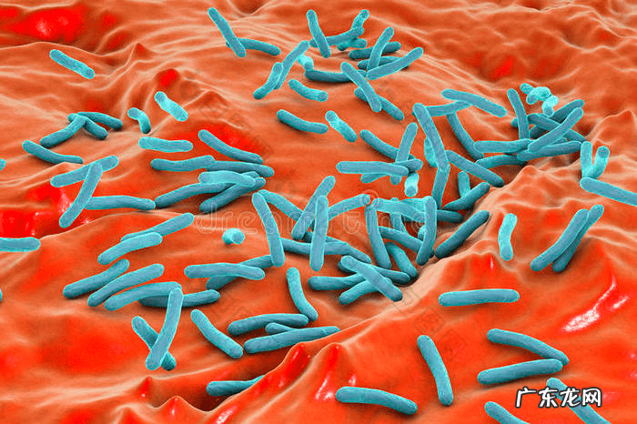 为什么无缘无故就得了肺结核 现在肺结核能治愈吗