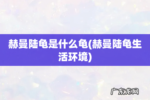 赫曼陆龟生活环境 赫曼陆龟是什么龟