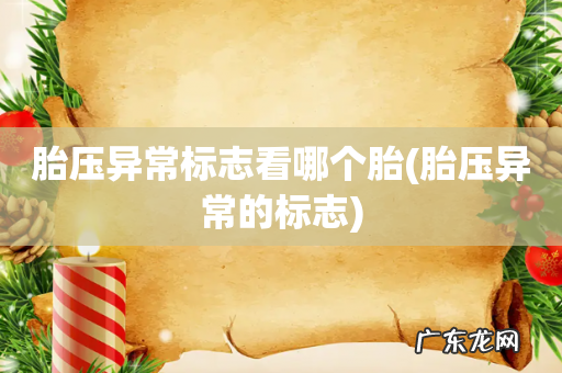 胎压异常的标志 胎压异常标志看哪个胎