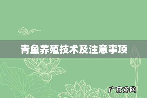 青鱼养殖技术及注意事项