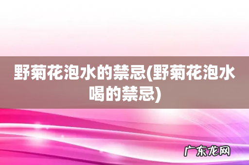 野菊花泡水喝的禁忌 野菊花泡水的禁忌