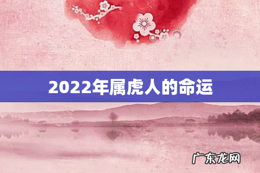 2022年属虎人的命运