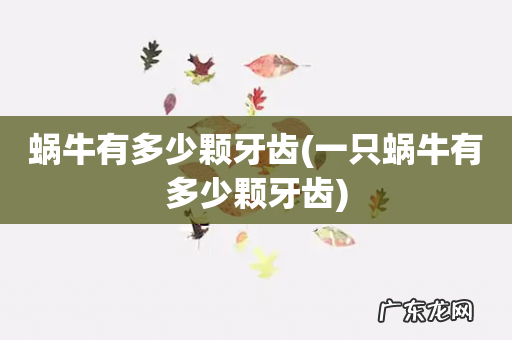 一只蜗牛有多少颗牙齿 蜗牛有多少颗牙齿