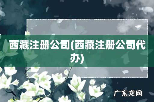 西藏注册公司代办 西藏注册公司