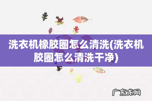 洗衣机胶圈怎么清洗干净 洗衣机橡胶圈怎么清洗