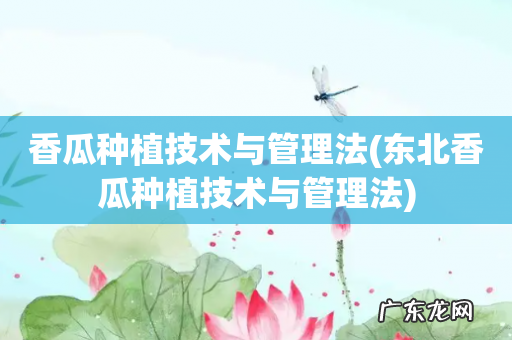 东北香瓜种植技术与管理法 香瓜种植技术与管理法