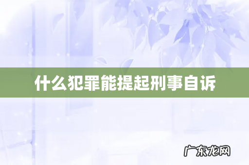 什么犯罪能提起刑事自诉