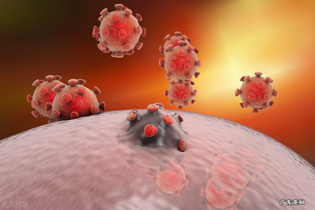 尖锐疣湿各种图片高清 尖锐湿疣症状