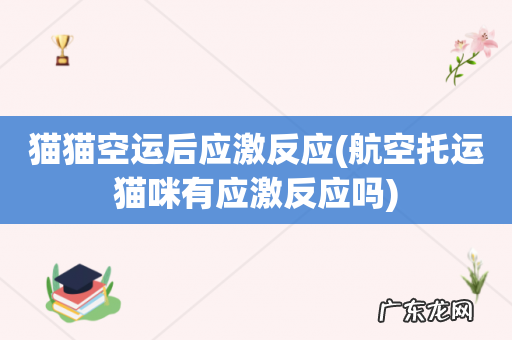 航空托运猫咪有应激反应吗 猫猫空运后应激反应