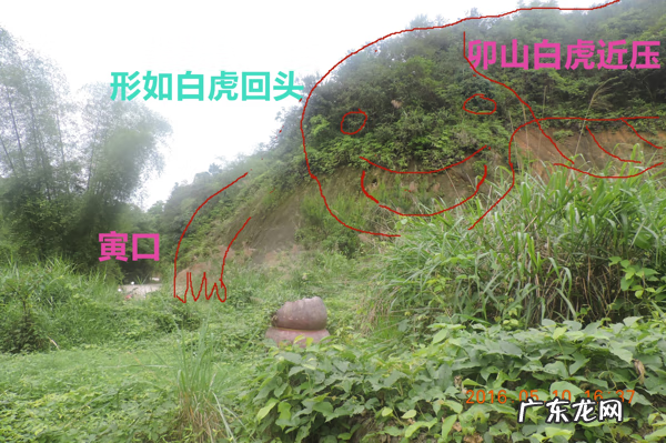 三僚曾广琳点的名坟风水 三僚风水师考察风水名坟