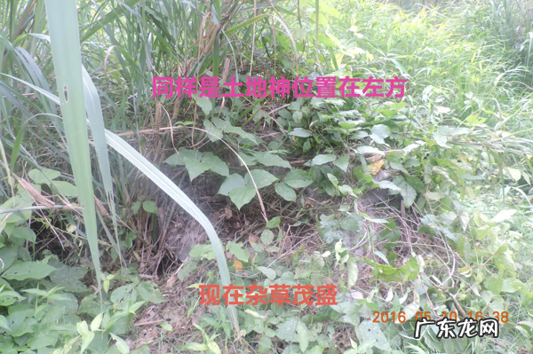 三僚曾广琳点的名坟风水 三僚风水师考察风水名坟