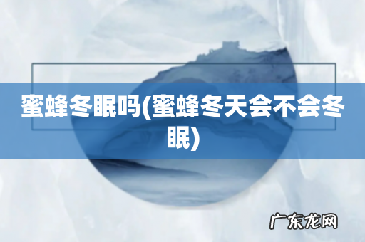 蜜蜂冬天会不会冬眠 蜜蜂冬眠吗