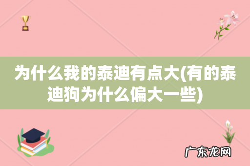 有的泰迪狗为什么偏大一些 为什么我的泰迪有点大
