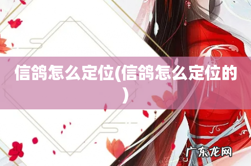 信鸽怎么定位的 信鸽怎么定位
