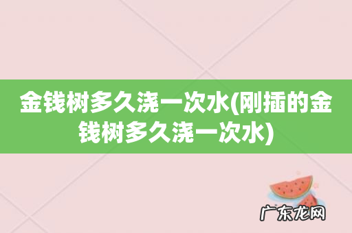 刚插的金钱树多久浇一次水 金钱树多久浇一次水