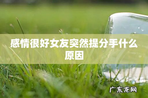感情很好女友突然提分手什么原因