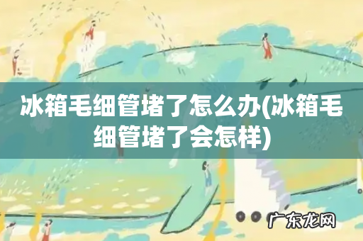 冰箱毛细管堵了会怎样 冰箱毛细管堵了怎么办