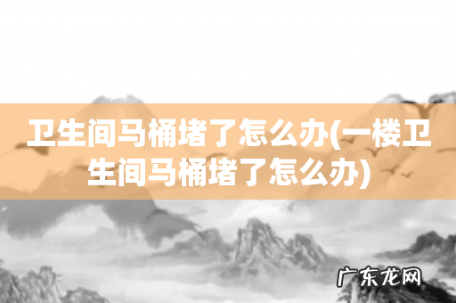 一楼卫生间马桶堵了怎么办 卫生间马桶堵了怎么办