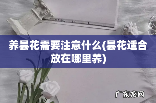 昙花适合放在哪里养 养昙花需要注意什么